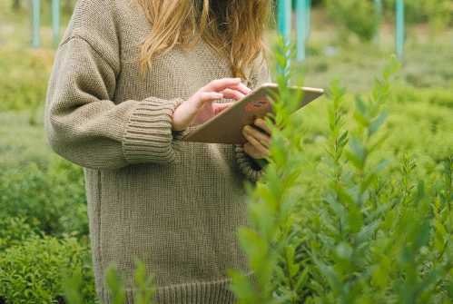 淘宝如何选择货源