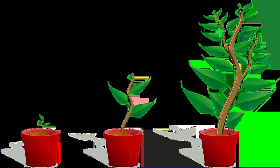 北京店铺客服外包怎么样