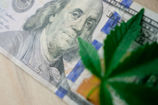 内容审核外包服务价格