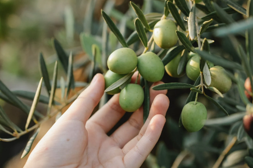 选择外包服务商的方法有哪些