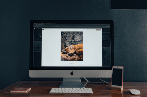 拼多多商家客服外包