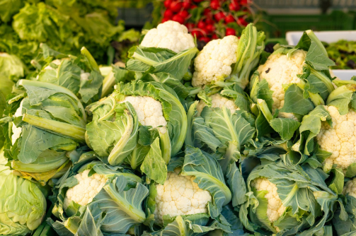 货源的选择有哪些