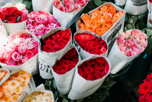 开无货源网店哪个平台好