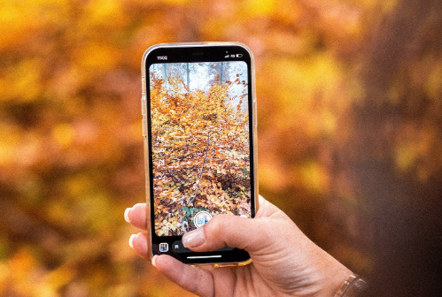 淘宝主图视频如何拍摄