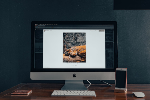 如何管理手机店铺