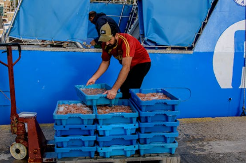 淘宝物流工作内容