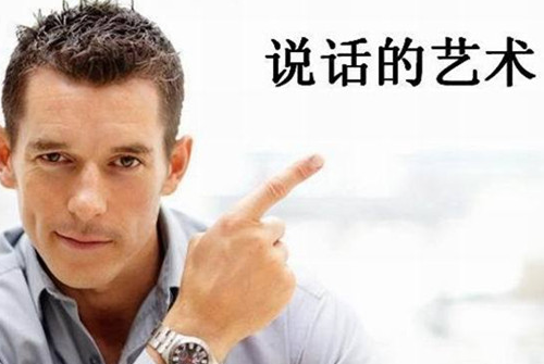 语言表达能力