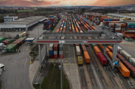 新手网店快递合作攻略要点有哪些？